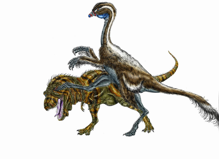 http://fc03.deviantart.net/fs70/i/2011/288/b/e/dont_mess_with_ornithomimids_by_durbed-d4cvs09.jpg