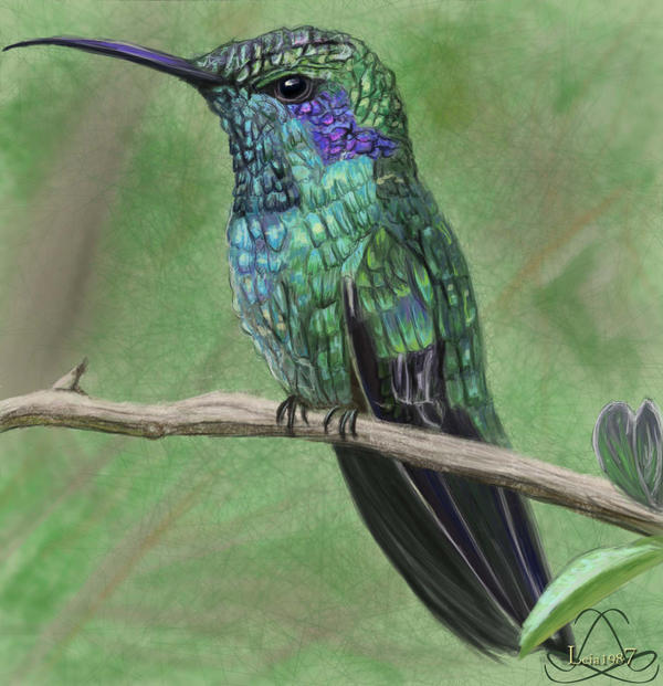 [Image: speedpaint___27_march___hummingbird_by_l...4u6h5r.jpg]
