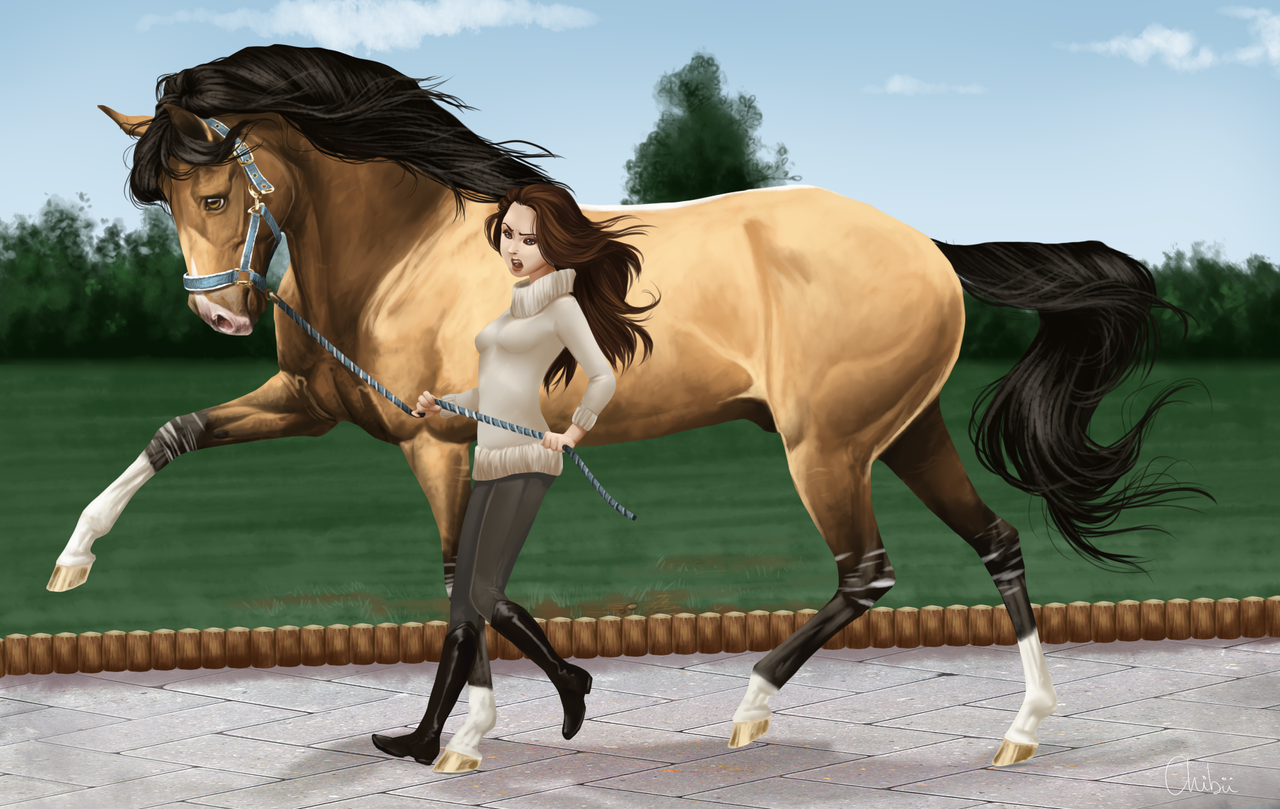 vet_check_wip_2_by_bh_stables-d5a21gy.png
