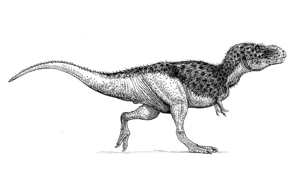 Albertosaurus by pheaston