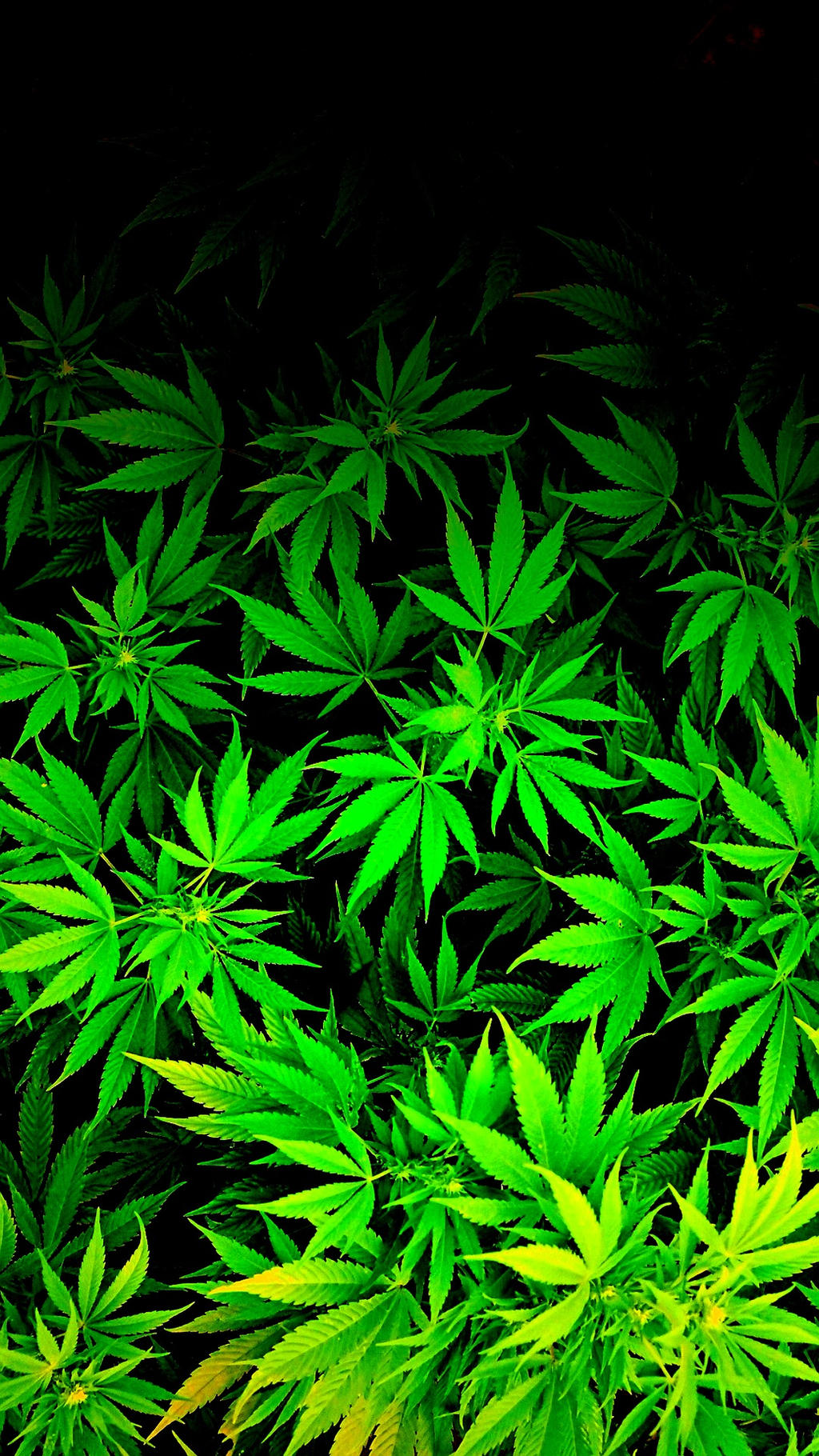 iPod/ iPhone weed marijuana cannabis Wallpaper by thetruemask on DeviantArt