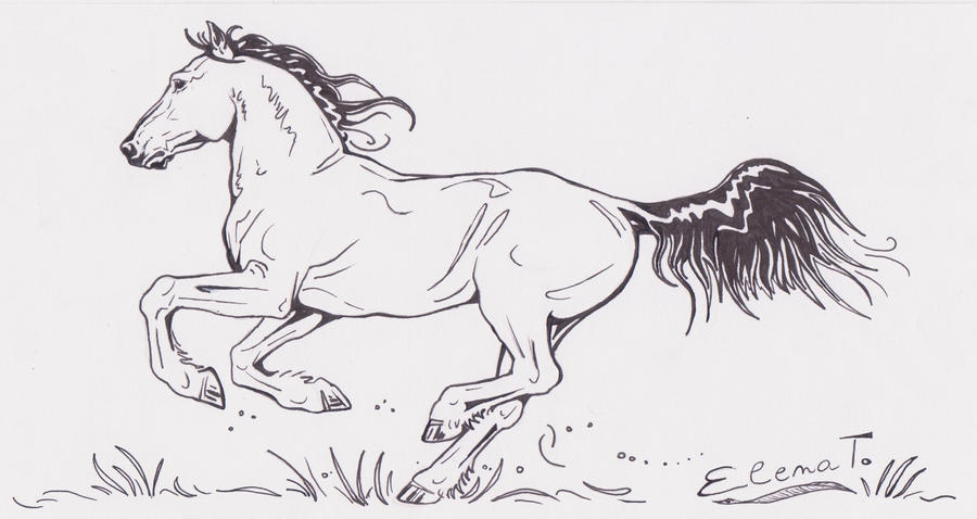 gallop coloring pages - photo #38
