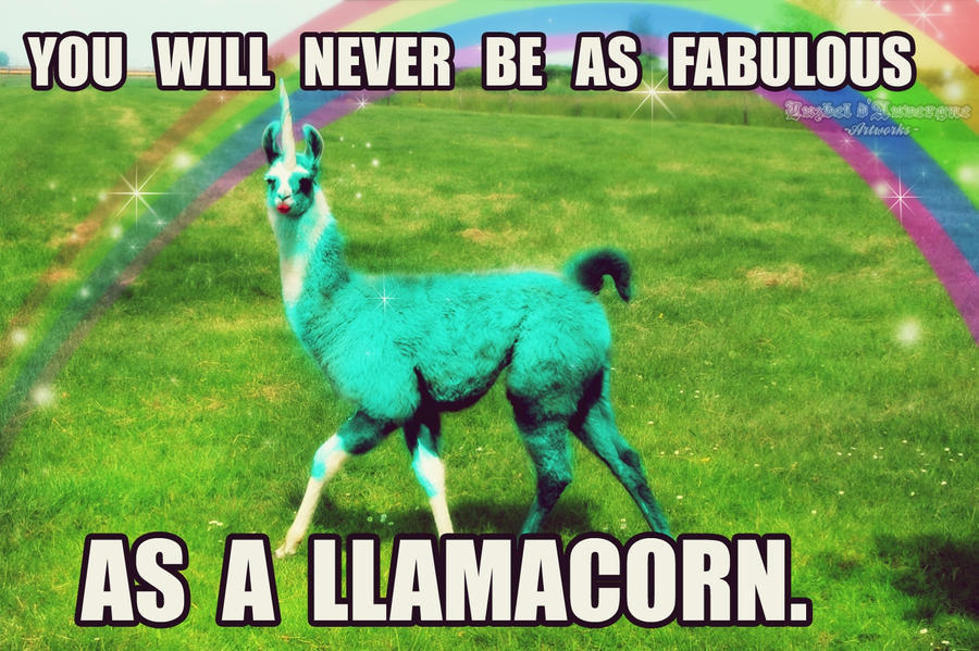 llamacorn___celebrating_50_llamas__thank