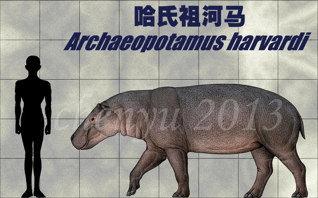 http://fc03.deviantart.net/fs70/i/2013/298/8/4/archaeopotamus_harvardi_by_sinammonite-d6rrh84.jpg