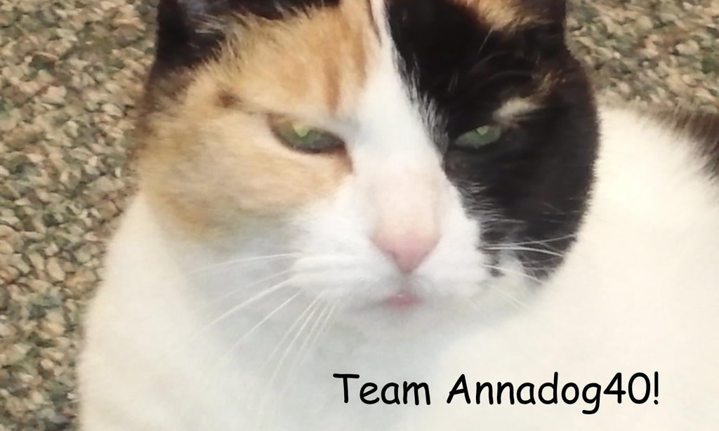 team_annadog40__by_annadog40-d7bvk41.jpg
