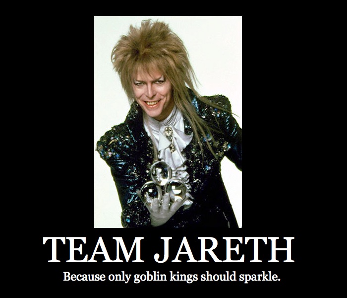 Team_Jareth_Motivational_by_ShiKaiying.jpg
