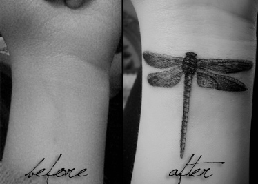 shoshence - dragonfly tattoo