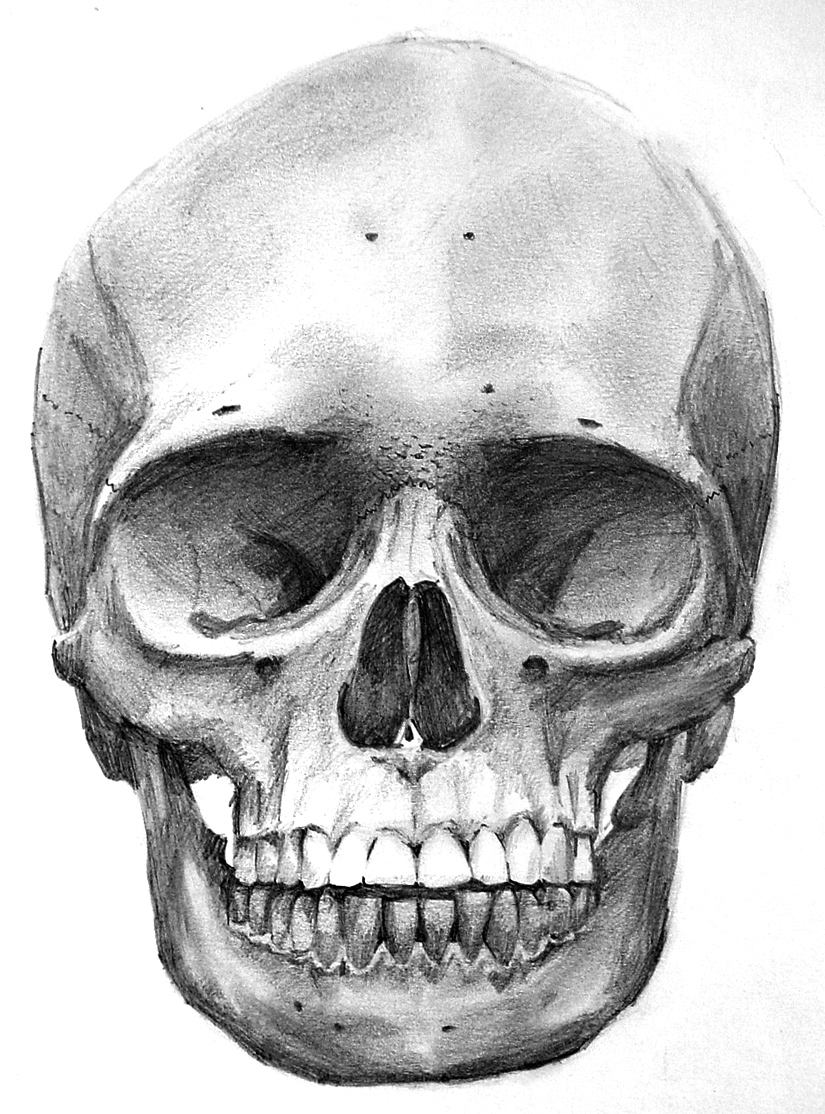 front of skull