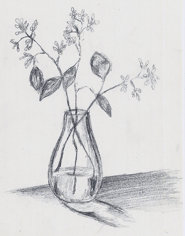 Flower Vase Drawing