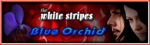 SOTW_Music_and_Bands_by_barbieq25.png