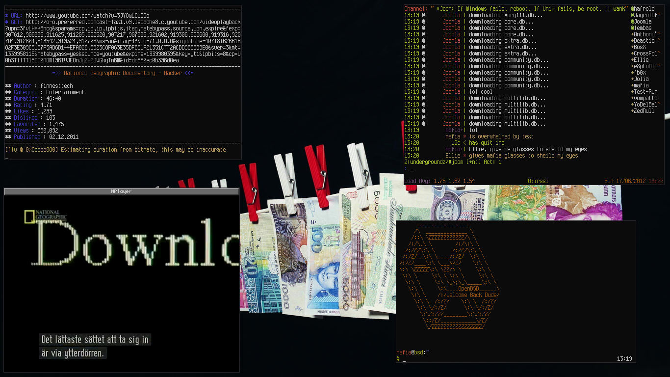 damn__openbsd_by_unixmafia-d53y4l0.png