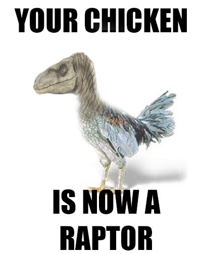 your_chicken_is_now_a_raptor_by_mynameisnotdavid-d5evqrg.jpg