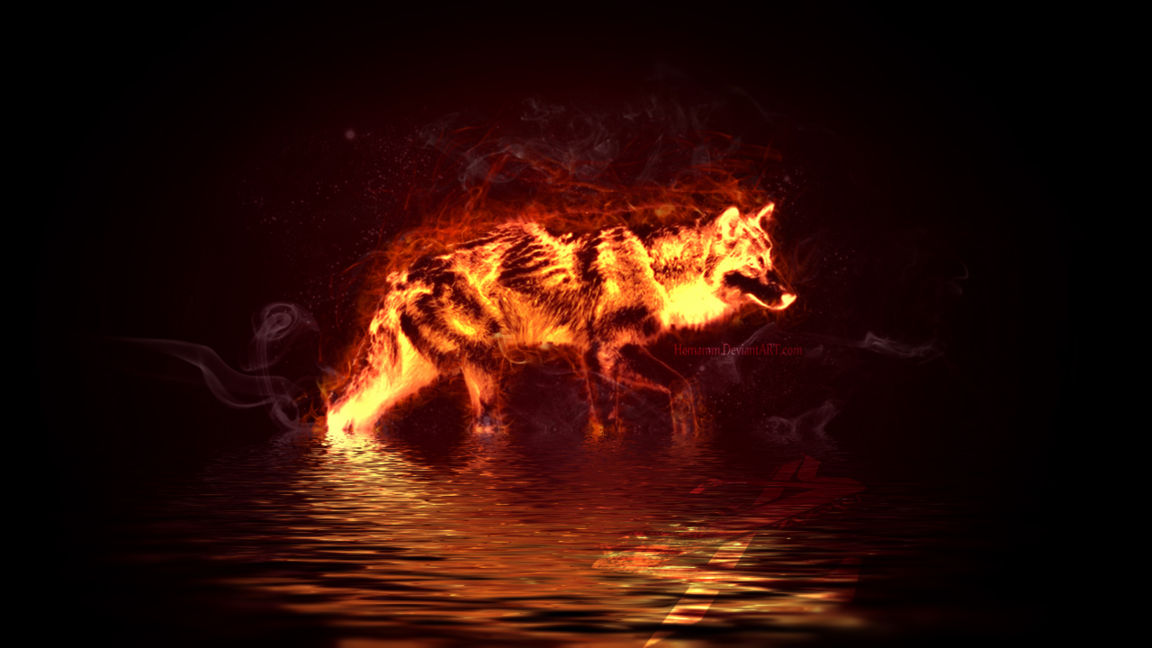 Firewolf-Anime s DeviantArt Gallery