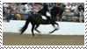 dressage_stamp__featuring_kripton_seni_ii__by_scutterland-d66gge4.gif