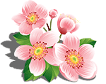 pink_flowers_by_kmyg