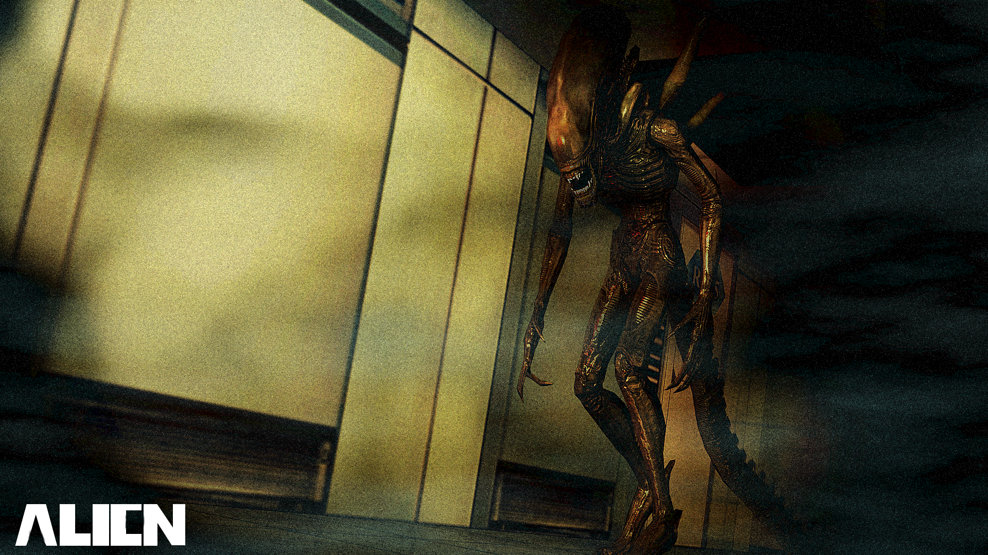 in_space____only_xenomorphs_hear_you_scream_by_jill_valentine666-d83x8rj.png