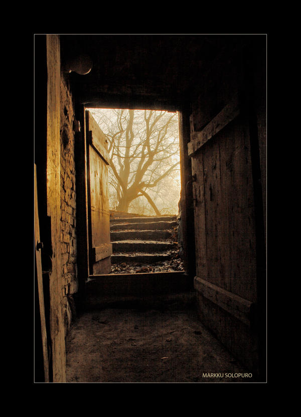 Open door to the foggy park by Maresolo on deviantART