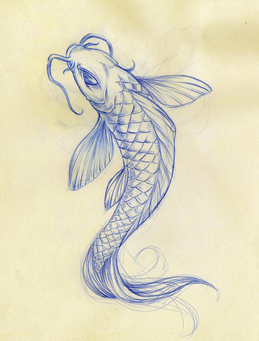 how to draw coy fish tattoo
