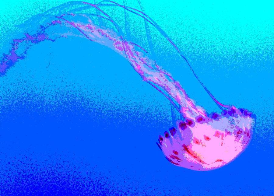 funky jellyfish