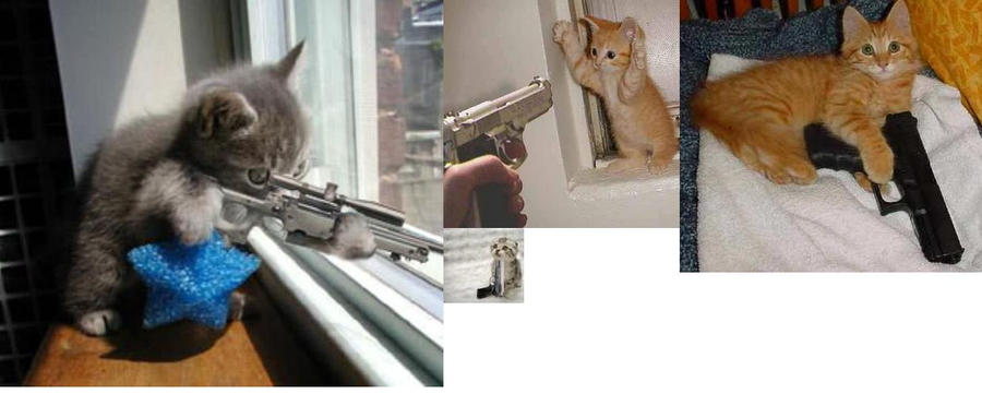 kittens with guns. kittens with guns. kittens and