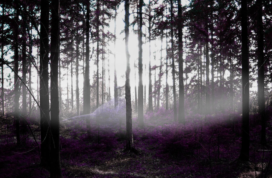 Mystic_Forest_by_valkodelffiini.jpg