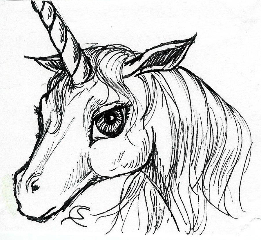Unicorns Drawings