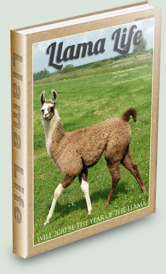 The_Llama_Hustle_by_cigsace.png