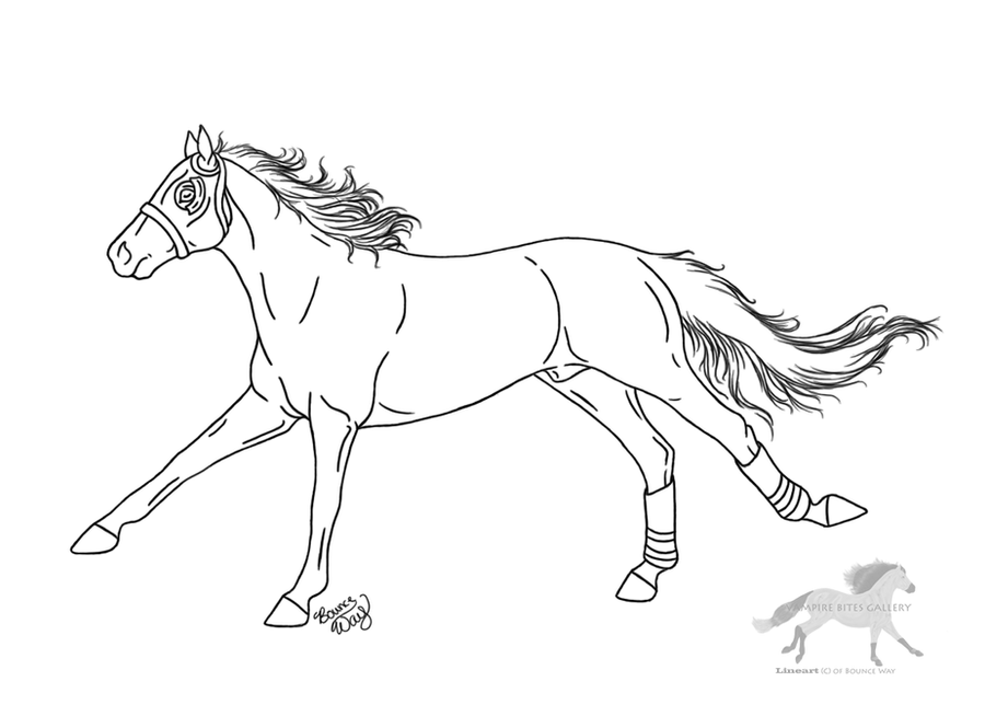 race horse coloring book pages - photo #10