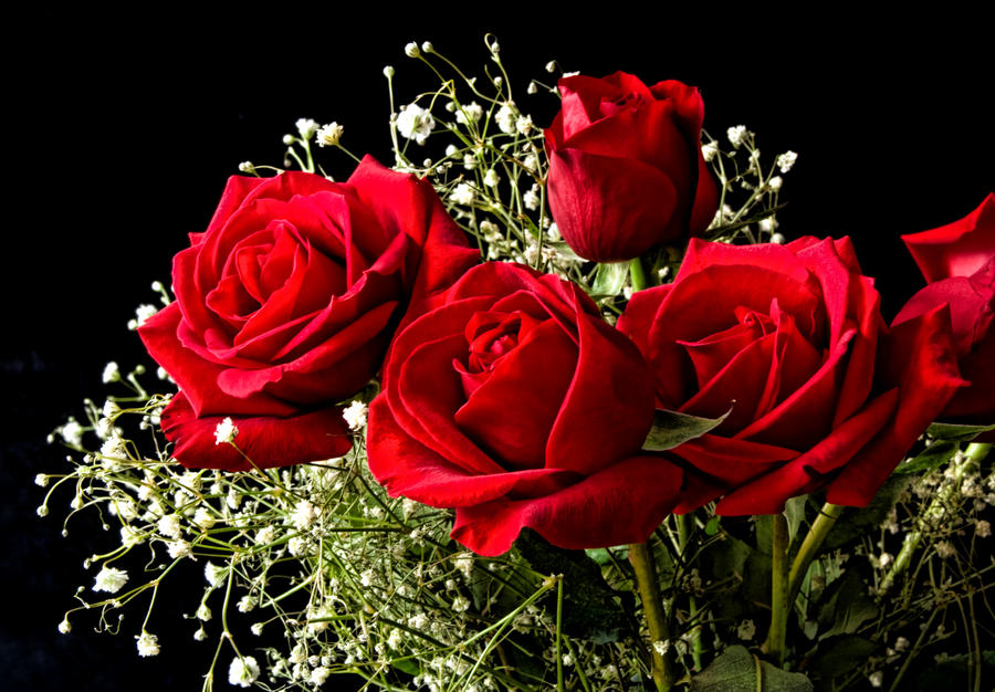 http://fc03.deviantart.net/fs71/i/2011/030/5/3/bouquet_of_roses_by_muffet1-d38f7s5.jpg