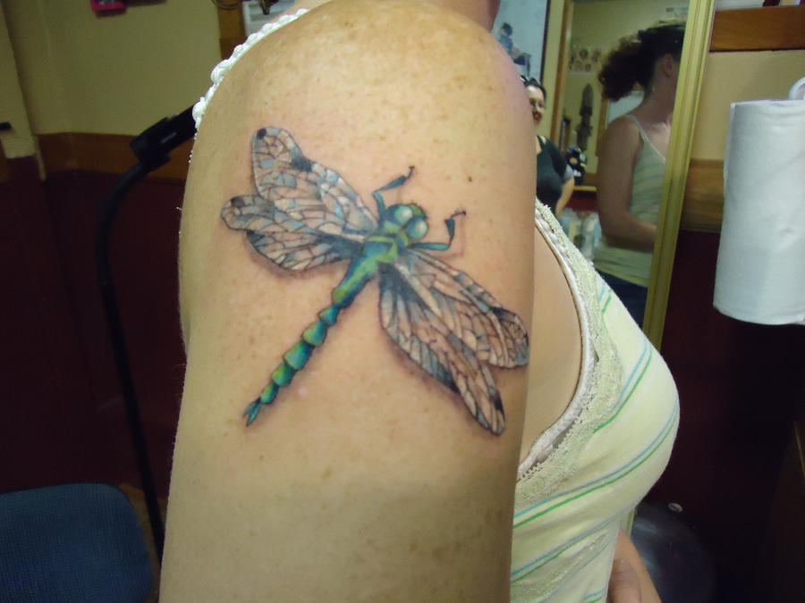 Curious Fox Tattoo dragonfly tattoo dragonfly tattoo dragonfly tattoo