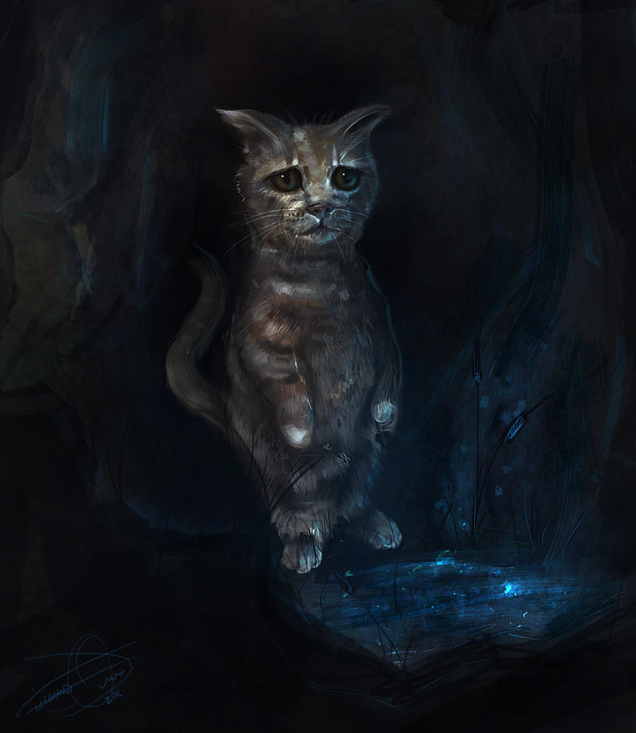 mysterious_cat_by_artsymptom-d3egoa9.jpg