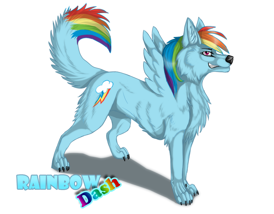 http://fc03.deviantart.net/fs71/i/2011/198/6/4/rainbow_dash_as_canine_by_suzamuri-d3ycmuq.png