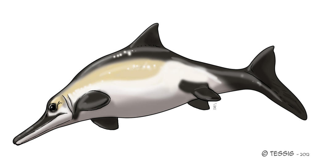 Ophthalmosaurus by Tessig