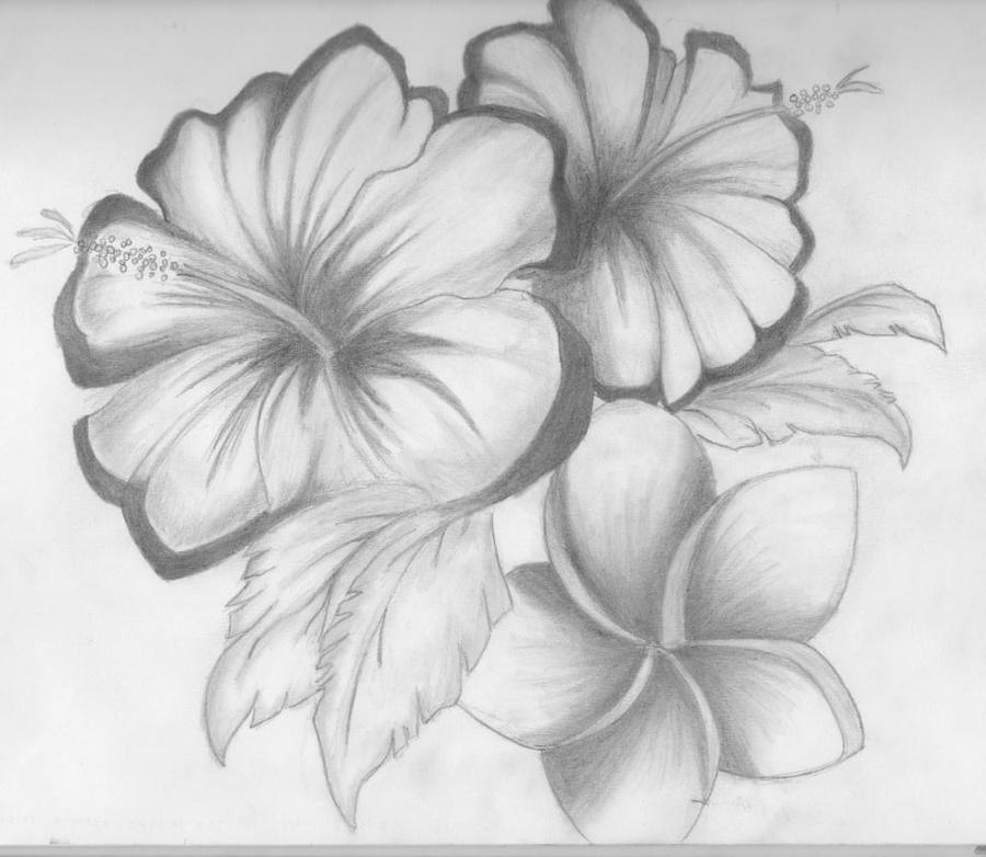 Featured image of post Floral Easy Pencil Flower Drawing / Here you will see drawpj student sheila russell perry progress from learning very simple coloured pencil as you can see, the fruit drawings created in the exercises look so juicy they are almost good enough to eat.