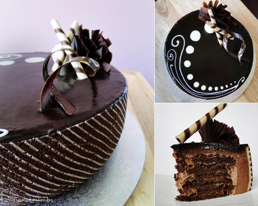 triple_chocolate_ripple_joconde_by_cakecrumbs-d5grlyj.jpg