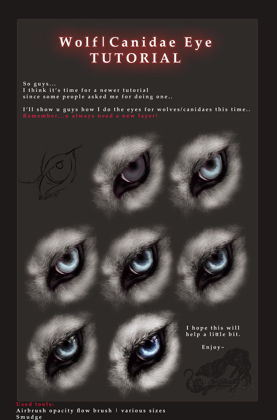 http://fc03.deviantart.net/fs71/i/2013/106/0/d/wolf_canidae_eye_tutorial_by_whitespiritwolf-d61wxcv.jpg