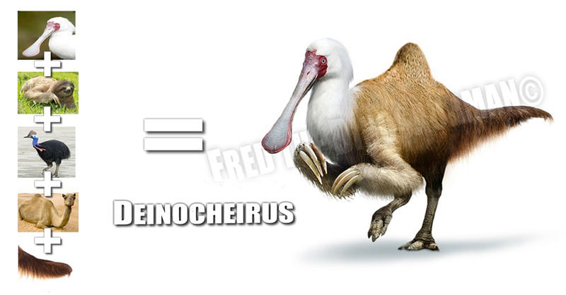 http://fc03.deviantart.net/fs71/i/2014/144/0/1/deinocheirus__moderna_animal_mashup__by_fredthedinosaurman-d7jjob4.jpg