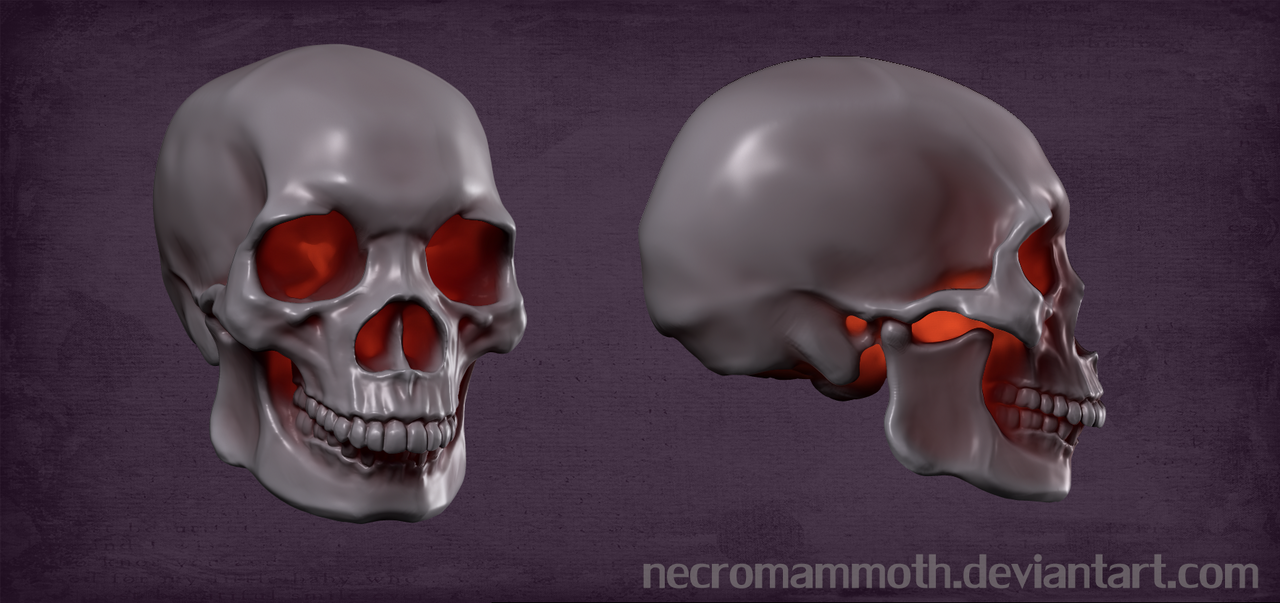 african_skull_by_necromammoth-d8gkbxv.png