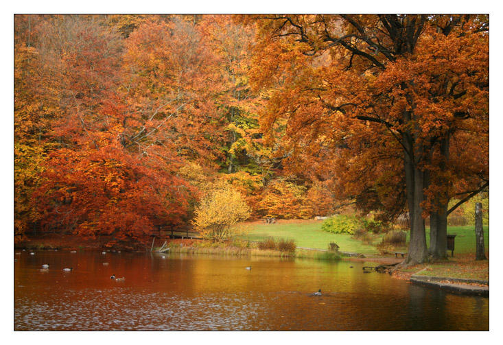 free clipart autumn scenes - photo #27
