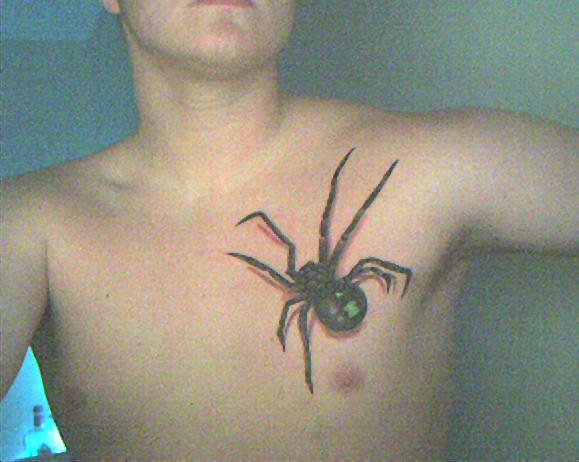 Spider Tattoo by dryspyder on deviantART