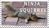 http://fc03.deviantart.net/fs24/f/2008/007/1/7/ninja_squirrel_stamp_by_war_armor.png