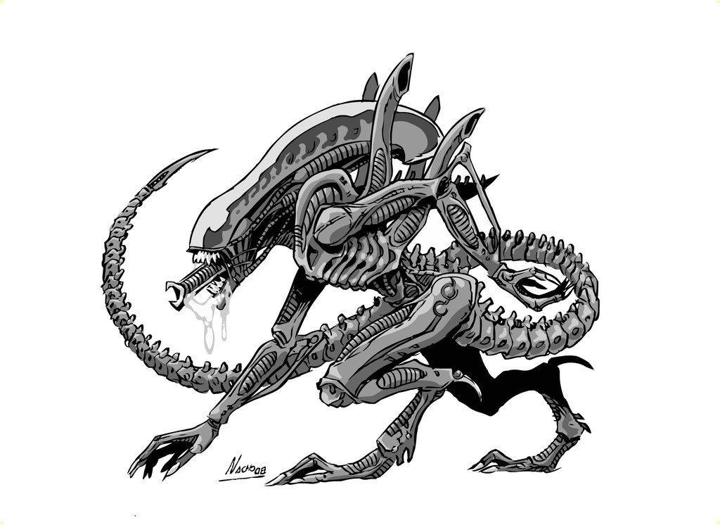 xenomorph drone coloring pages - photo #12