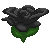 Black Rose by DPA-avatars