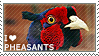 I love Pheasants by WishmasterAlchemist