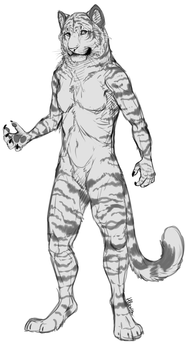 com__anthro_tiger_sketch_by_hlaorith-d5xctla.png