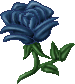 Blue rose by Angi-Shy