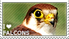 I love Falcons by WishmasterAlchemist