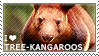 I love Tree-kangaroos by WishmasterAlchemist