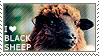 I love Black Sheep by WishmasterAlchemist