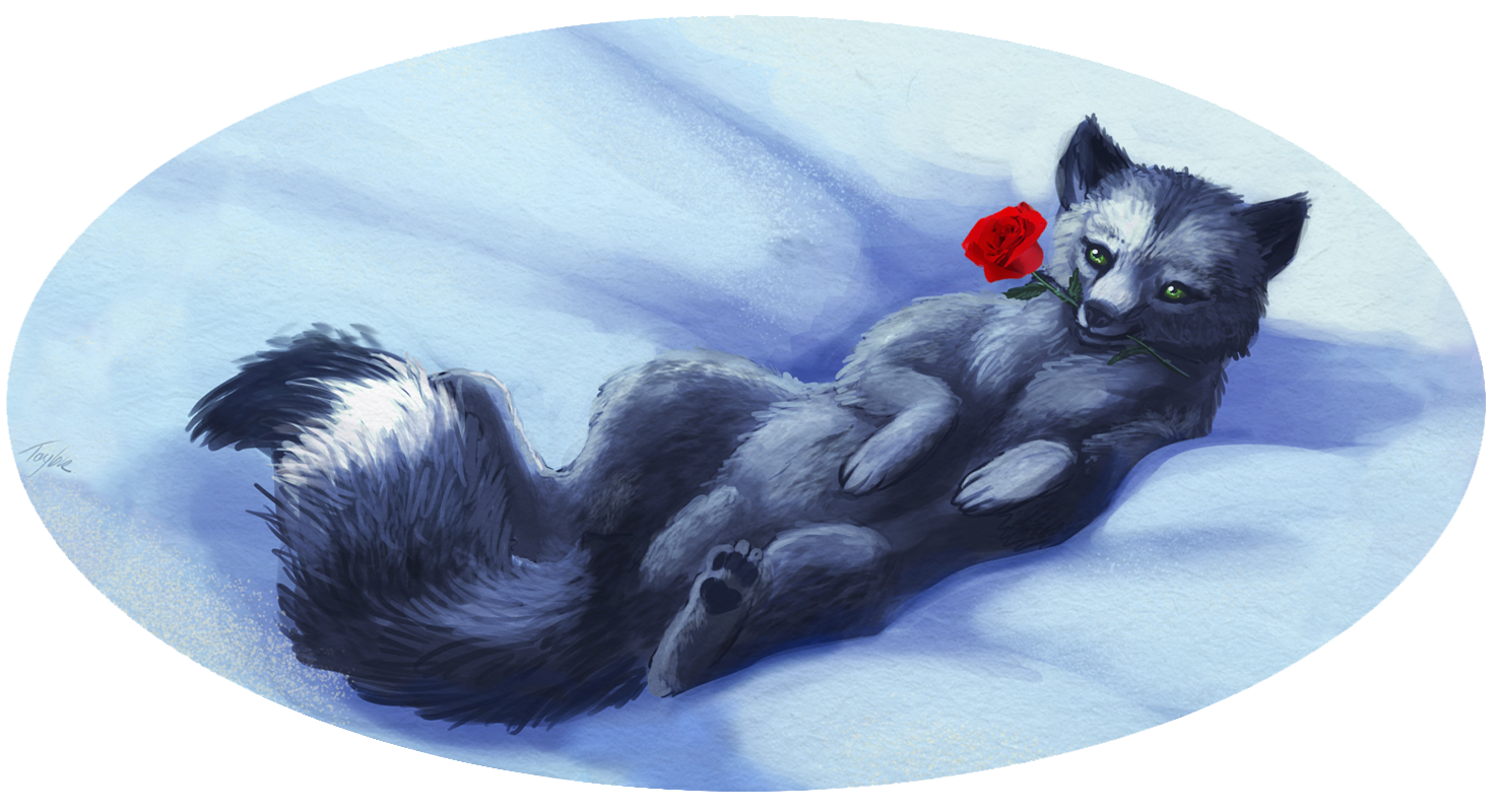 Dark Arctic Fox
